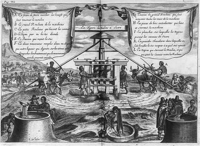 EL INGENIO DEL SIGLO XVII. Visión idealizada e indudablemente deformada de un ingenio de las colonias francesas de las Antillas. Charles de Rochefort, Histoire naturelle et morale des lles Antilles de l’Amerique, Rotterdam, 1658.