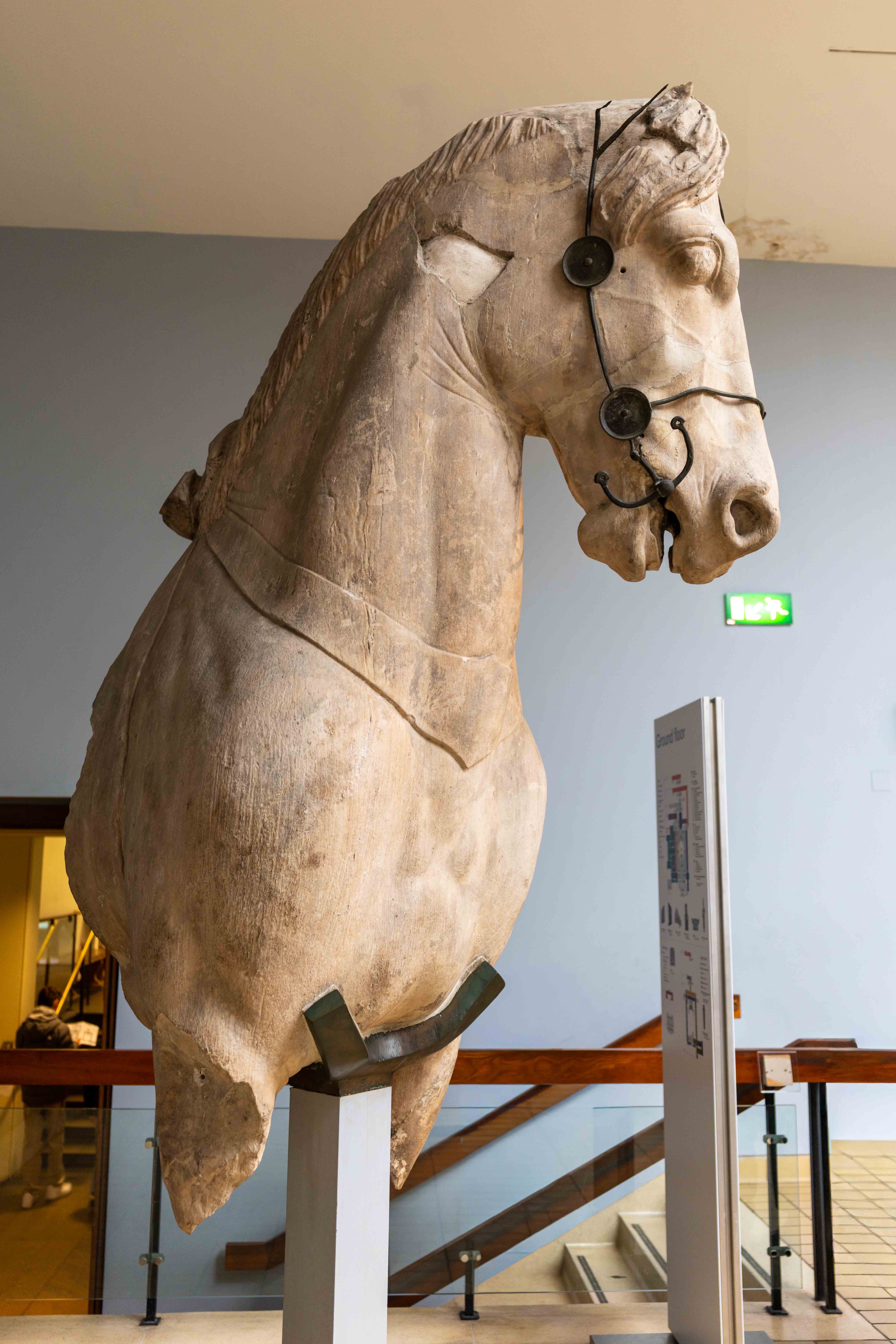 Colossal marble horse from the quadriga atop the Mausoleum at Halicarnassus, now in the British Museum